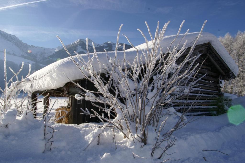 Ferienwohnung Haus Wegscheider Piesendorf Exterior foto